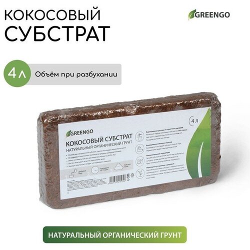    Greengo ,      ,  , 4     -     , -,   