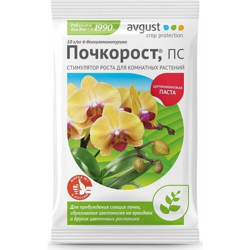      Avgust  N100 1.5   -     , -,   