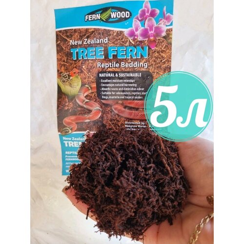  Tree Fern()       5,   