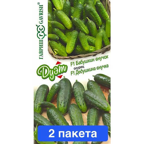 ���� ������ ������ ������ 