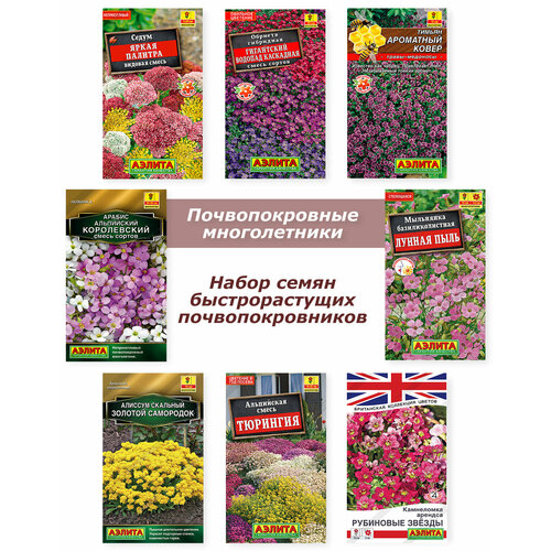 ���� ����� �����, ������ �������������� ����������� ������