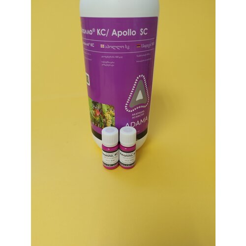 ���� �������� ������ 2 �� �� 10 ��