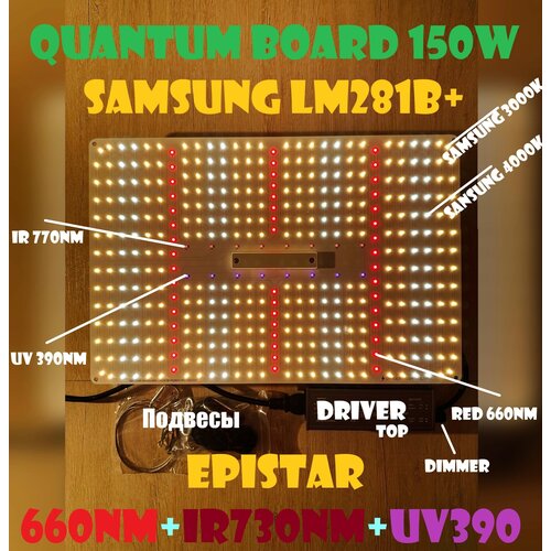   New Premium Quantum board 150w Samsung LM281B+          240    -     , -,   