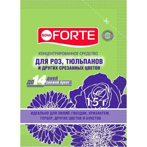   Bona Forte 15  5 /        -     , -  