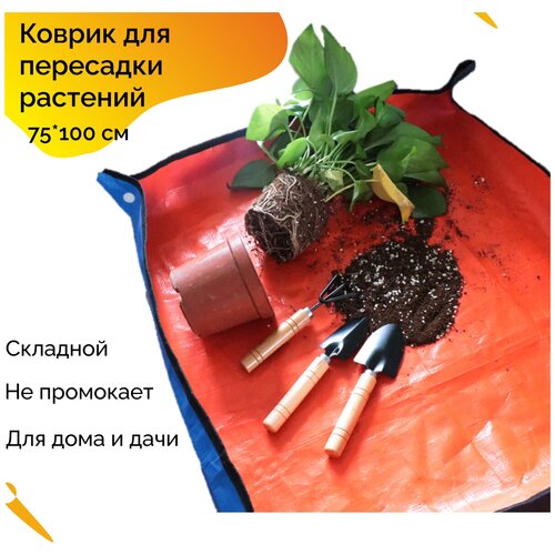 ���� ������ ��� ��������� �������� ����, �� ����, �� �������, ��������, �������, �����������, ��������, ������� ��������� 75*100 ��, 1 ��,