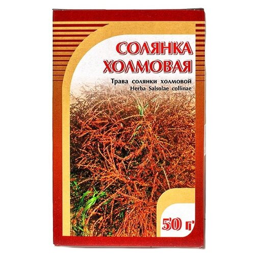 ���� ����� ����� ������� �������� (���), 50 �