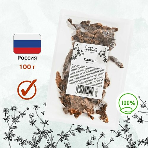 ���� ������ - ������ ��������