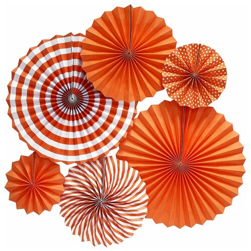 ���� ����� ���� ���������/����� 6 ��