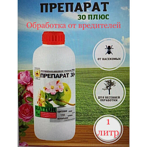 ���� �������� ��� ������ �� �������� ���������� �������� 30 ����, 1 �