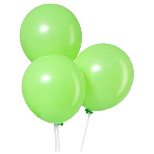 ���� ����� ��������� ����� Leti �������, 12