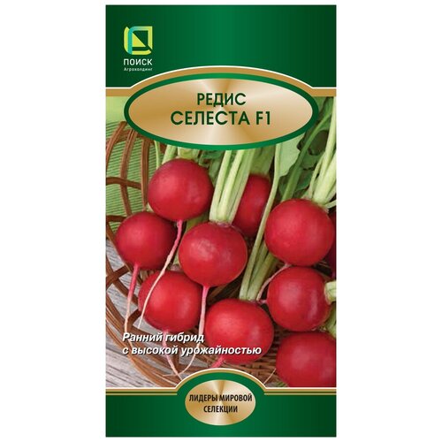 ���� ������ ����� ������� F1 2 ��.