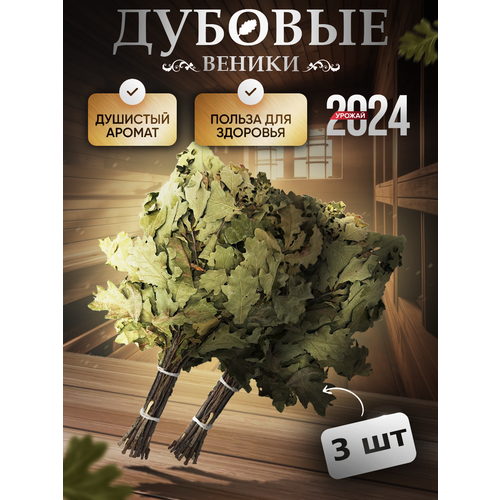 ���� ������� ����� ��� ����