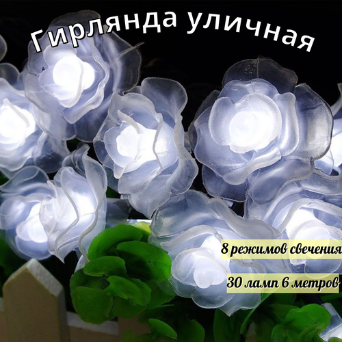 ���� ������������ �������� � ����� ���, ��������� ������� 30 ���� 6 ������