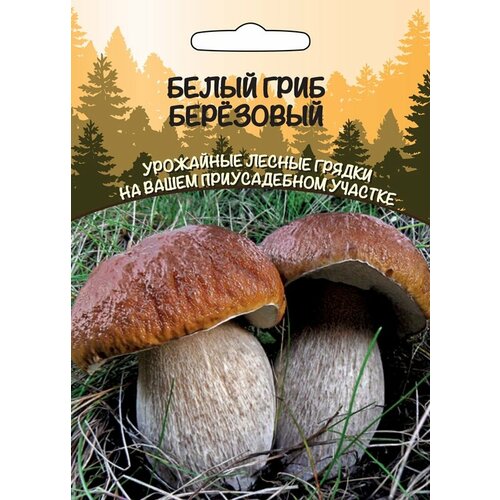 ���� ����� ����� ��������� 15��/30��/10