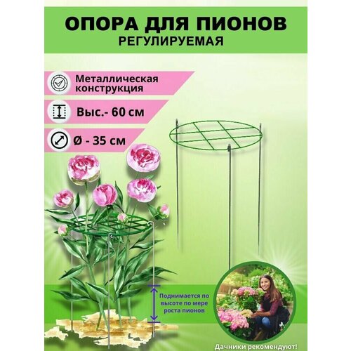 ���� ����� ��� ������ ������������ ����� ������� 35��, ������ 60��