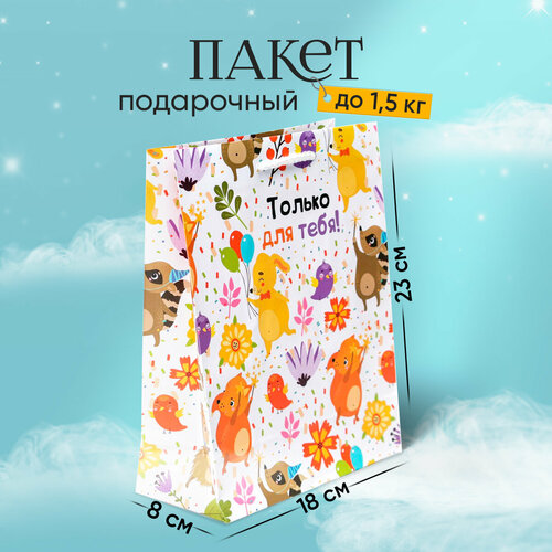 ���� ����� �������������� ������� ��� ���� �, MS 18 � 23 � 8 ��