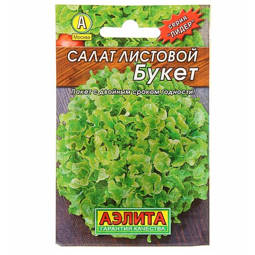 ���� ������ ����� 