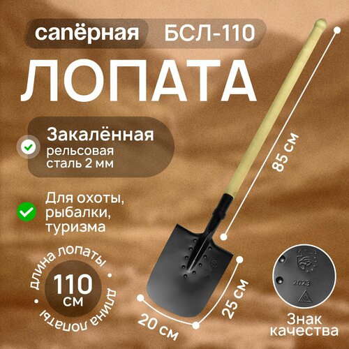 ���� ������ ������� �������� ���-110, ����� 110 ��. ��������/������������� ��� ������ �� �������. ���������� ��� �������