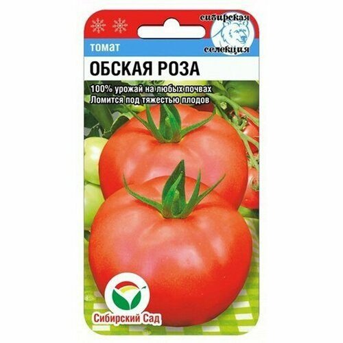 ���� ������ ����� ������ ���� 20�� ��� (��������� ���)