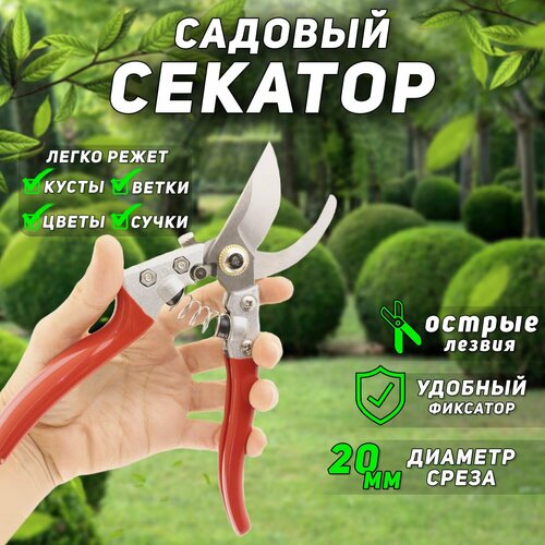 ���� �������-�������� ������� ����������� (� ����������, +�������� �������) XH-Y 