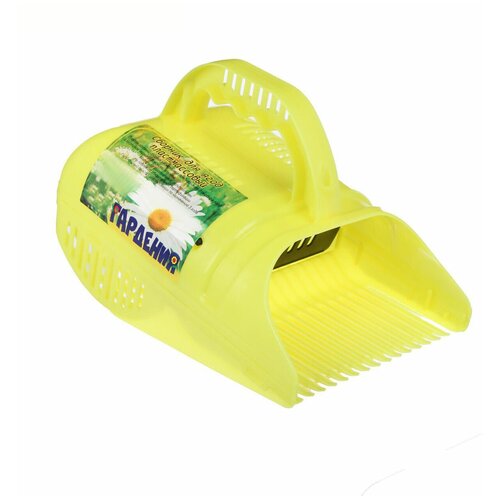 ���� ������� ��� ���� � ���������