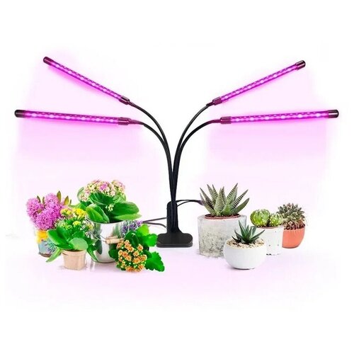   Goodland     LED Grow Light  36   -     , -,   