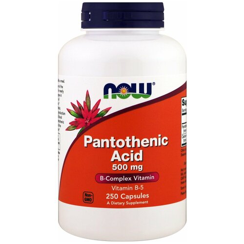   Pantothenic Acid ., 500 , 400 , 240 , 250 .  -     , -  