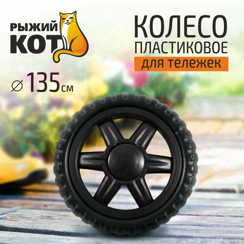 ���� ������ ����������� 135�� ���