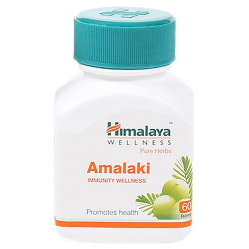   Amalaki, 100 , 100 , 60 .  -     , -  