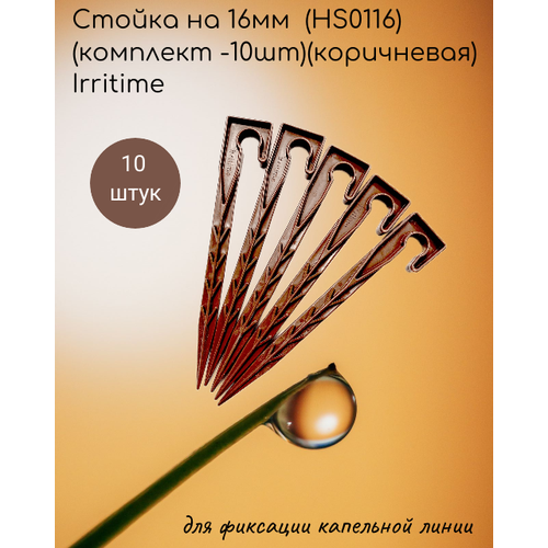     16 (HS0116)( -10)() Irritime  -     , -  