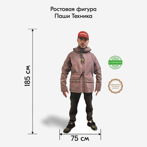 ���� ��������� ��� ����������, Indoor-ad, ���� ������ �������� ������