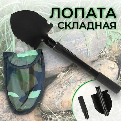 ���� ������ �������� ������������� �������� � ������ / ������ ��� ���� ������� �������� ���� ������