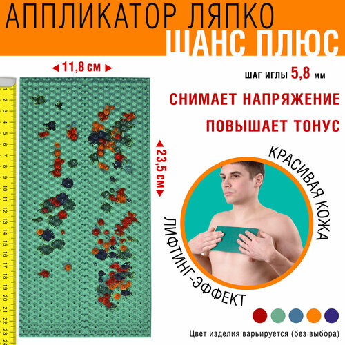 ���� ������ ����� ���� ���� (23.5x11.8 ��), ��� ��� 5.8 ��, ����: � ������������