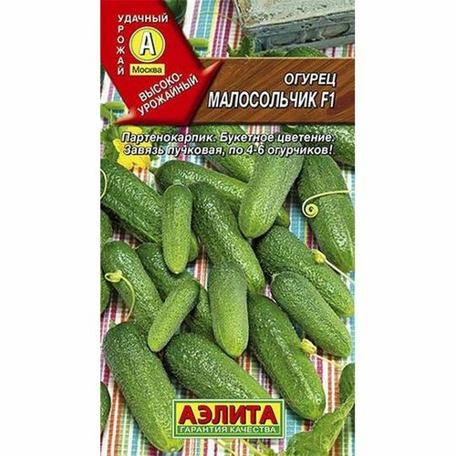 ���� ������ ������ ����������� F1 ����, �����������, (������) 10��