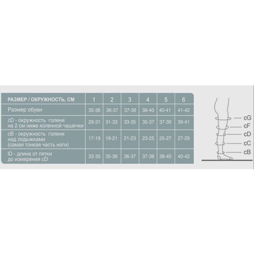    Ergoforma 211      , , 1 , : 2,   -     , -  