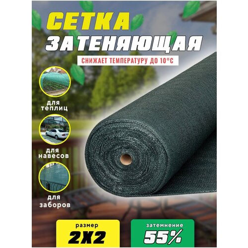 ���� ����� ���������� 55% 1�10�