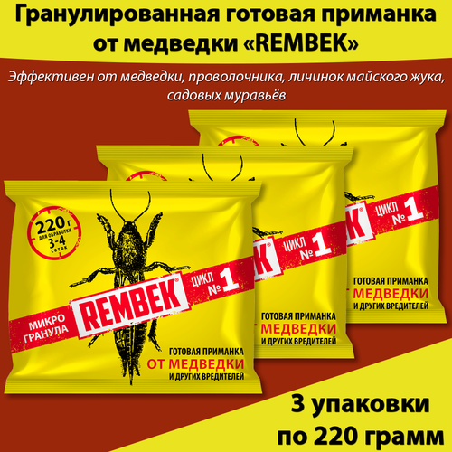 ���� �������� �� �������� � ������������ 