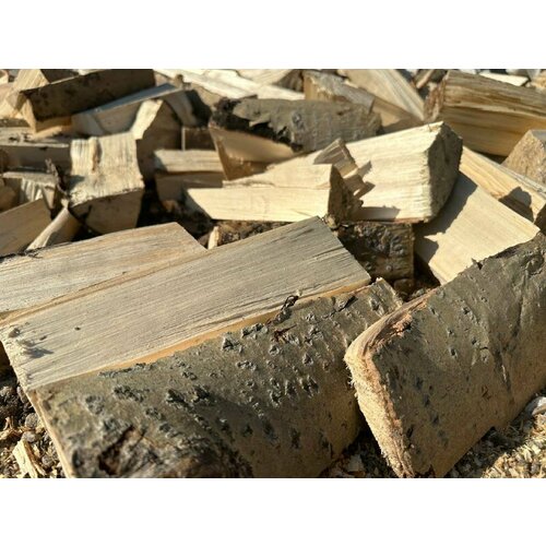 ���� �������� ����� 20 �� ����� ��� ������