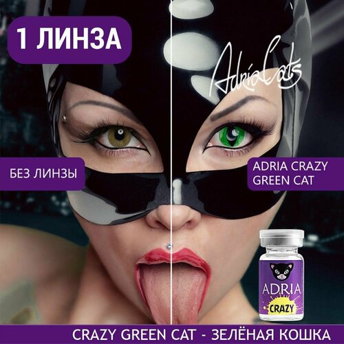     ADRIA Crazy, 1 ., R 8,6, D 0, ADD: , green cat, 1 .  -     , -  