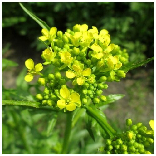 ���� ������ ������ �������� ��������� 15 ��.