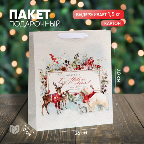 ���� ����� ���������� ����������� �����, M 30 � 26 � 9 ��, ����� ���