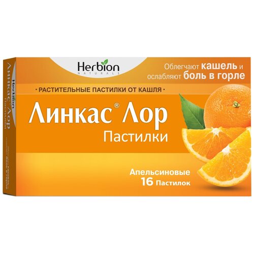 ���� ������ ��� ��������, 16 ��., ��������