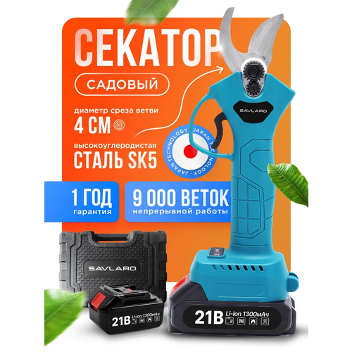 ���� ������� �������������� Savlaro, ������� �������� ��������������, �������������� ������� �������, �������, 1 ���