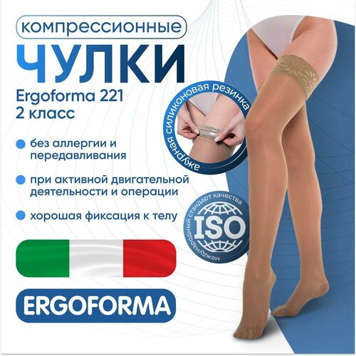     Ergoforma 221      , 2 ,  6,   -     , -  