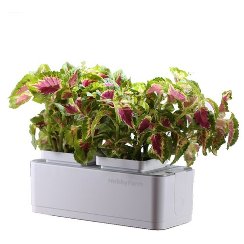     HobbyFarm Mini,      -     , -,   