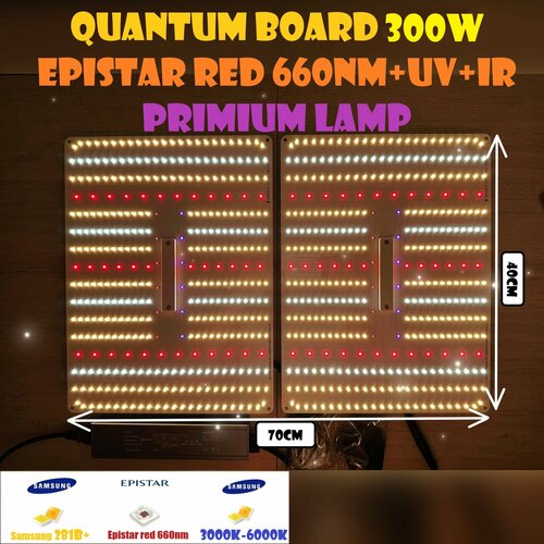      /  Quantum board   300  Mean well,  LM281B 288-2 5000 450nm-660n  -     , -  