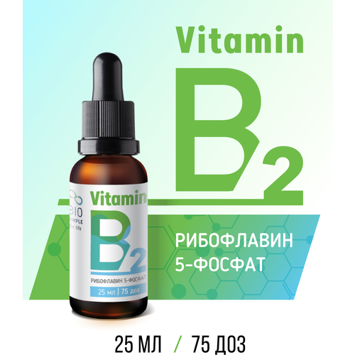 ���� ������� �2 ���������� 5-������