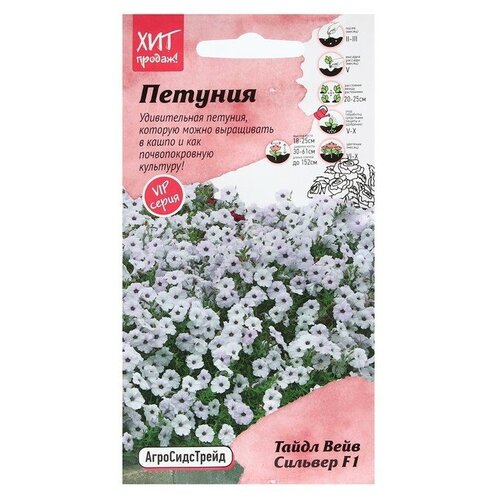 ���� ������ ������ ������� 