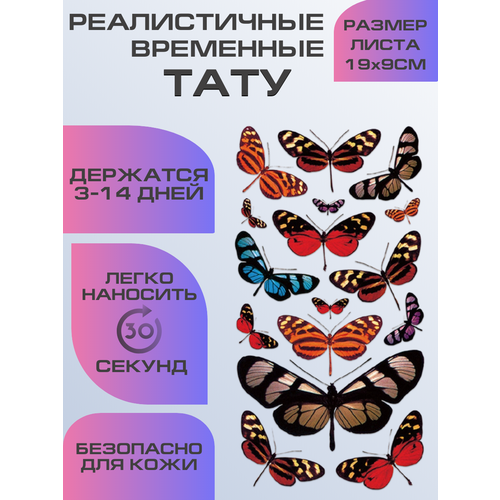 ���� ���� ���������� �������������� �������