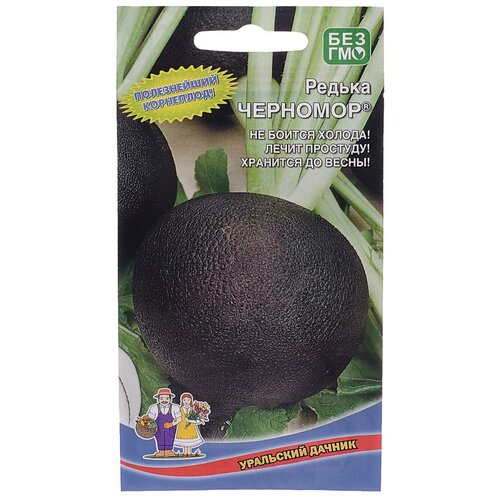 ���� ������ ������ 